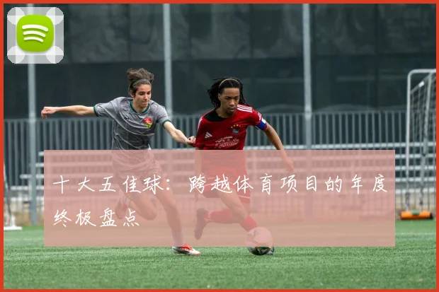 十大五佳球:跨越体育项目的年度终极盘点